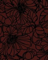 Alexa Cardinal by  Robert Allen 