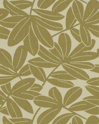 Mountain Ash Cargo by  Robert Allen 