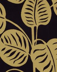 Park View Caviar by  Robert Allen 