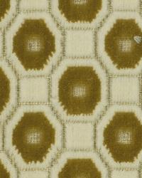 Begin Again Camel by  Robert Allen 