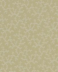 Lil Ashley Sand Dollar by  Robert Allen 