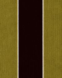 Criterion Citrine by  Robert Allen 