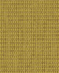 Tarmak Cashew by  Robert Allen 