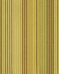 Dory Stripe Butter by  Robert Allen 