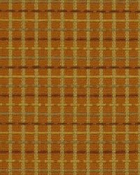 Navigator Koi by  Robert Allen 