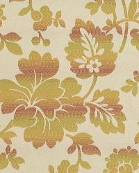 Isobel Union Tulip by   