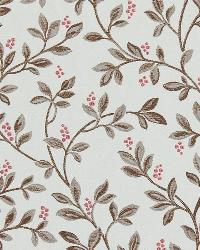 Division Line Tulip by   