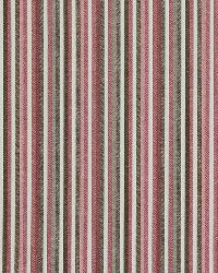 Color Lines Tulip by  Robert Allen 