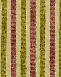 Longest Yard Tulip by  Robert Allen 