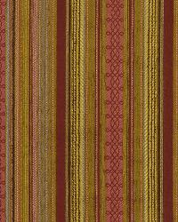 Sierra Stripe Tulip by  Robert Allen 