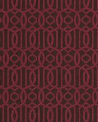 Broken Circles Tulip by   