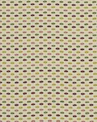 Lawrenceburg Tulip by  Robert Allen 