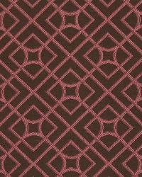 Hot Topics Tulip by  Robert Allen 