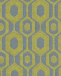 Antheas Way Hydrangea by   