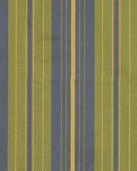 Many Stripes Leaf by  Robert Allen 