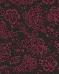 Lacy Blooms Tulip by  Robert Allen 