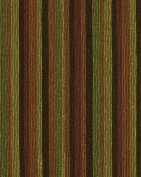 Rainbow Stripe Tulip by  Robert Allen 