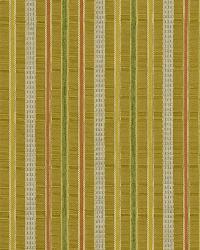 Lucky Stripes Leaf by  Robert Allen 