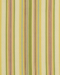 Carowinds Tulip by  Robert Allen 