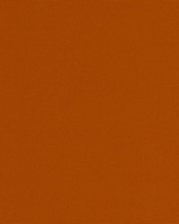 15707 581 Cayenne by  Duralee 