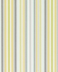 15717 215 Multi by  Duralee 