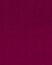 15723 224 Berry by  Duralee 