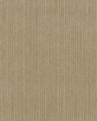 15724 13 Tan by  Duralee 