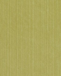 15724 213 Lime by  Duralee 