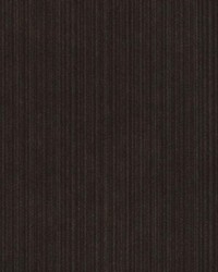 15724 319 Chinchilla by  Duralee 