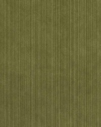 15724 354 Basil by  Duralee 