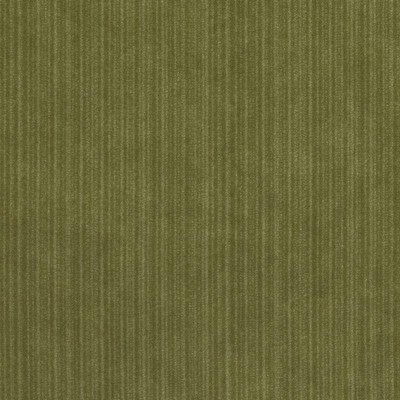 Duralee 15724 354 Basil in 3011 Polyester  Blend Solid Velvet   Fabric