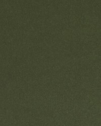 15725 184 Forest by  Duralee 