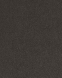 15725 216 Putty by  Duralee 