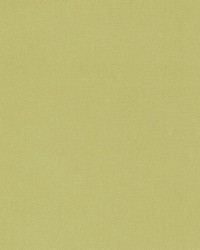 15725 243 Honey Dew by  Duralee 