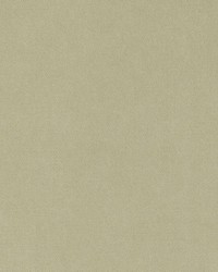 15725 247 Straw by  Duralee 