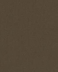 15726 10 Brown by  Duralee 