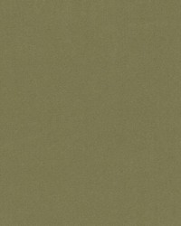 15726 303 Fern by  Duralee 