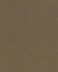 15726 318 Bark by  Duralee 