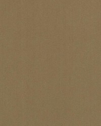 15726 368 Nutmeg by  Duralee 