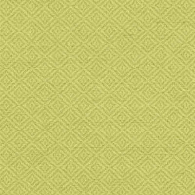 Duralee 15738 399 Pistachio in 3009 Green Polyester Patterned Crypton   Fabric