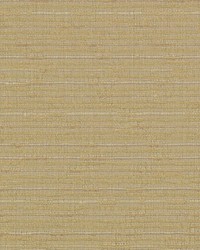 15745 194 Toffee by  Duralee 