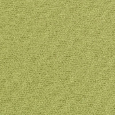 Duralee 15746 2 Green in 3009 Green Polyester Crypton Texture Solid   Fabric