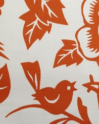 20874 35 Tangerine by  Duralee 