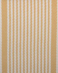 1815 23 TOPAZ by  Duralee 