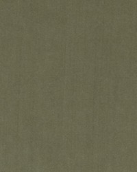 DV15862 354 BASIL by   