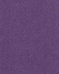 DV15862 49 PURPLE by   