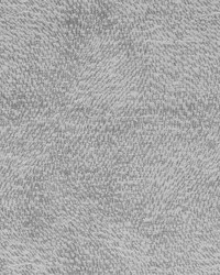 DU15904 562 PLATINUM by  Collier Campbell 