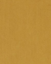 DV15862 598 CAMEL by   