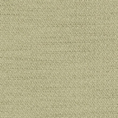 Duralee SU15950 320 LEAF in LEYDEN Green Upholstery POLYESTER  Blend