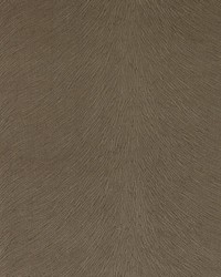 DV15938 160 MUSHROOM by  Silver State 